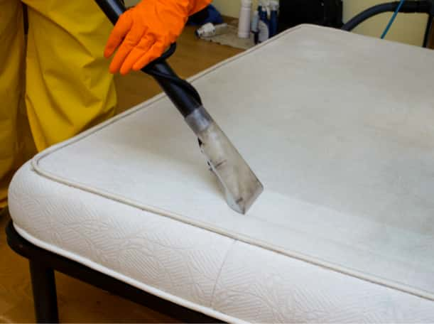 This is a photo of a man steam cleaning a dirty mattress works carried out by Mill Hill Carpet Cleaning.