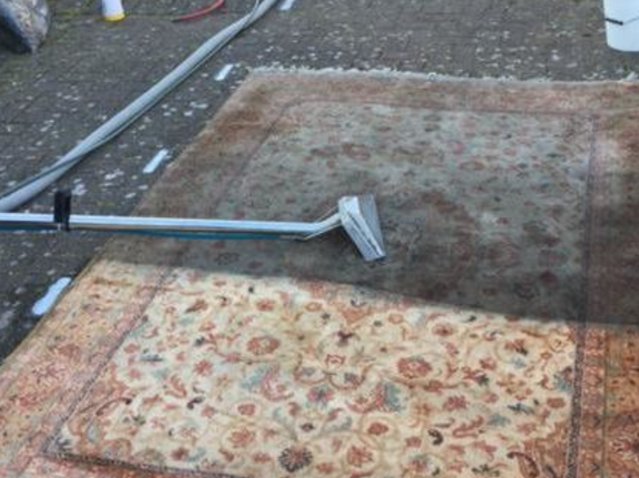 This is a photo of Mill Hill Carpet Cleaning floral rug that is being steam cleaned. The bottom half has been completed and the top half is being done.